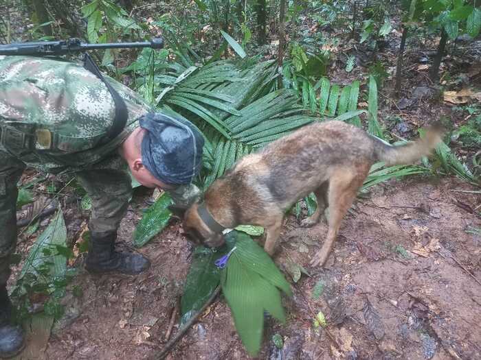 encontraron-con-vida-a-los-cuatro-ni-os-perdidos-en-las-selvas-del