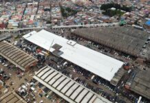 El SIPSA presentó disminución en las papas criolla y negra; subieron la arracacha y el plátano hartón verde