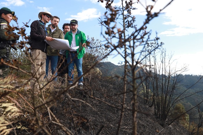 Alcalde Mayor recorrió zona del parque Entrenubes afectada por incendio  forestal | ANP Noticias