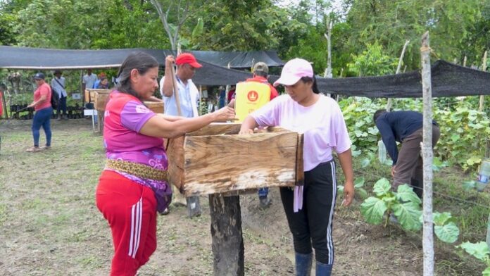 AGRO CRECIMIENTO ECONOMICO