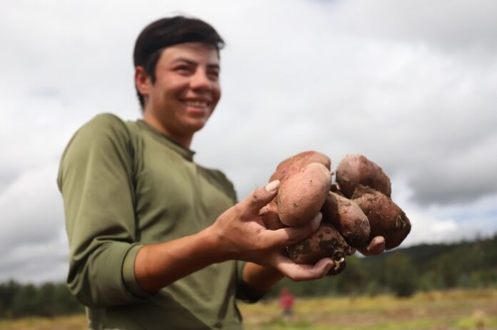 AGRO UPRA