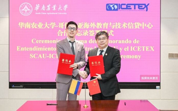 EDUCACION CHINA