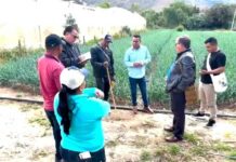 Ministerio de Agricultura y Desarrollo Rural impulsa diálogo directo con pequeños productores del campo en Boyacá