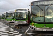 Distrito pone a rodar el futuro: llegan 50 buses articulados eléctricos únicos en el mundo