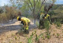 MinDefensa articula despliegue de la Fuerza Pública para controlar otros incendios en el país