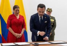 Nueva ministra TIC, Alexandra Falla Zerrate