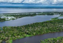 MinTIC cancela proyecto de fibra óptica para la Amazonia