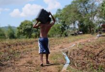 Fenómeno El Niño: MinVivienda identifica municipios en riesgo y orienta acciones de preparación
