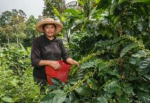 Nariño, Tolima y Cundinamarca lideran la actividad empresarial liderada por mujeres en las regiones