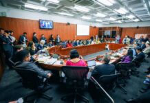 Ministra de Educación pidió auditoría forense al FOMAG